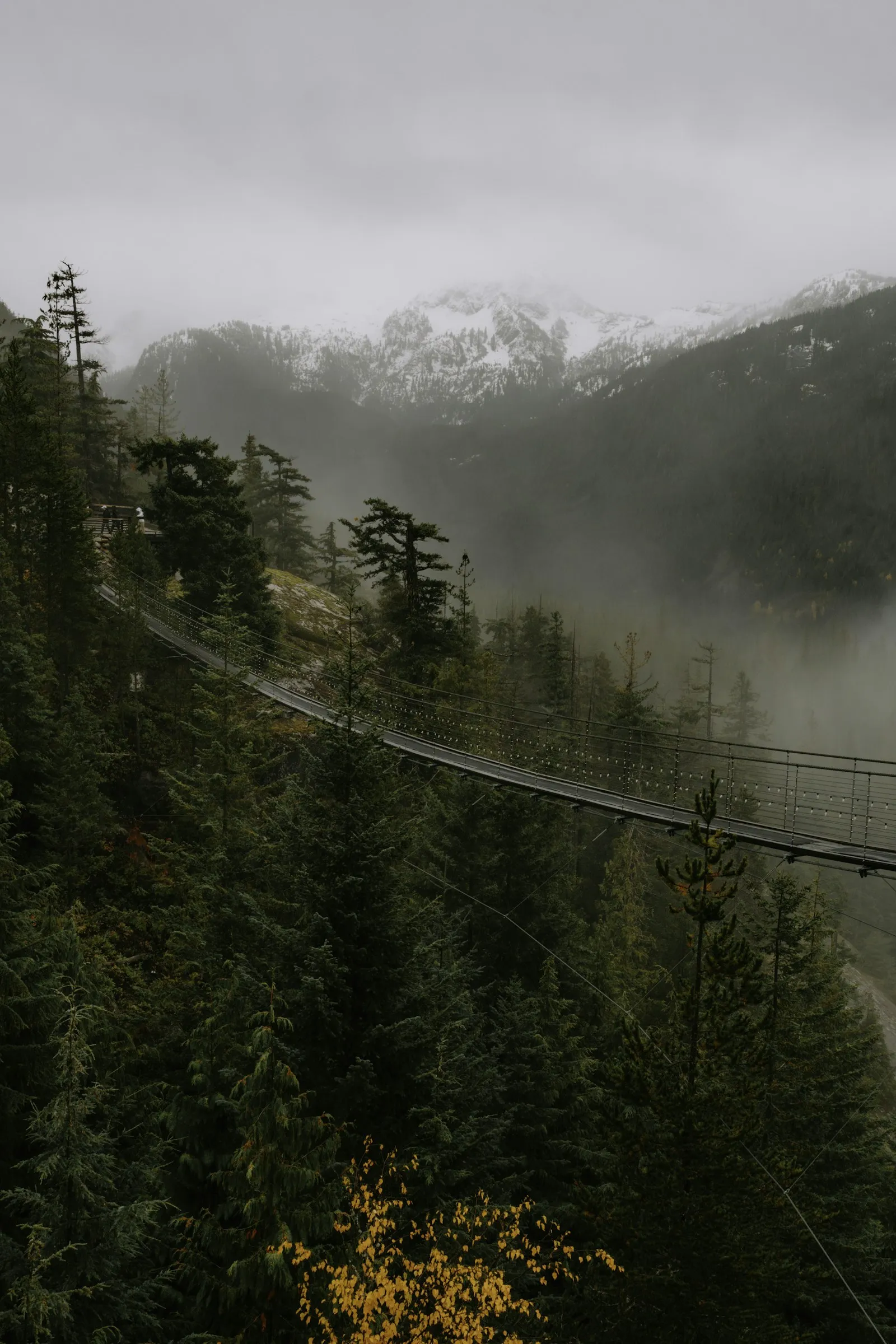 Suspension bridge over a misty forested valley near Squamish, British Columbia